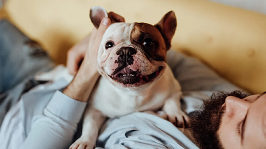 4 Surprising Pet Care Costs That You Should Prepare For
