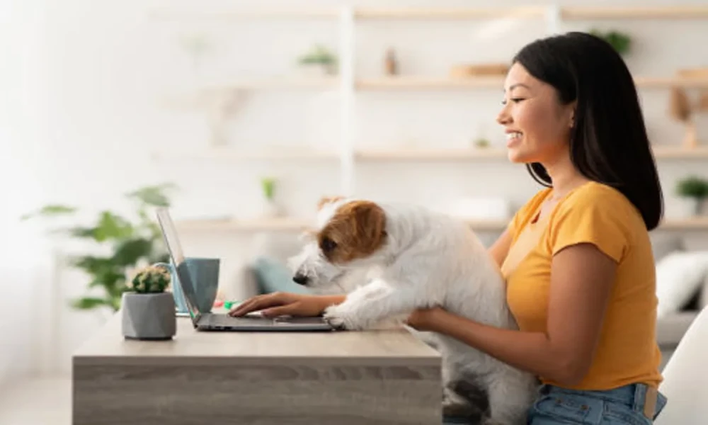 From Puppies To Seniors: Veterinary Care For Every Life Stage